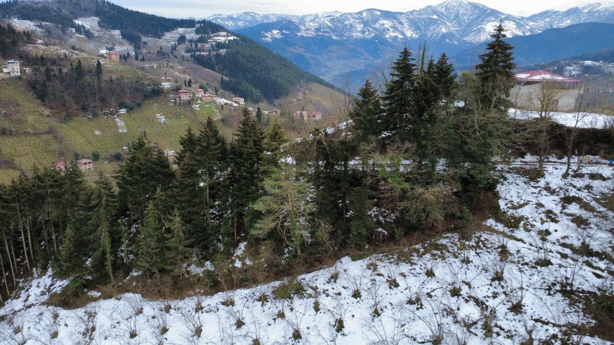 Trabzon Maçka Esiroğlunda Satılık Arazi - 23