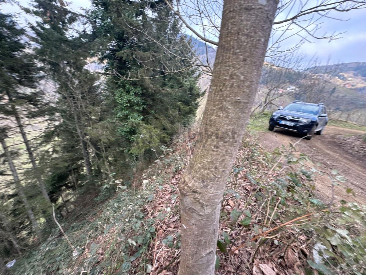 Trabzon Maçka Esiroğlunda Satılık Arazi - 35