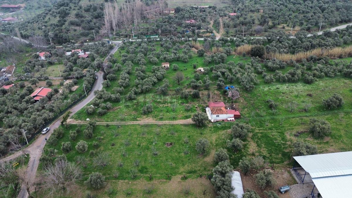 İzmir Tire Sb Emlak'tan Akçaşehir'de Satılık Arazi - 10