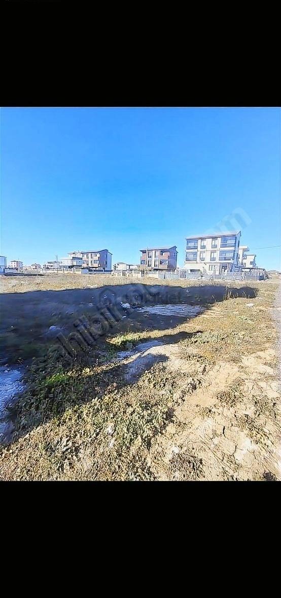 300m2 Villa İmarlı Arsa Marmara Erelisi De - 14