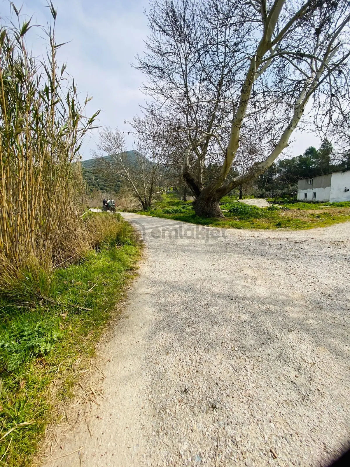 Kurşak Ta Asfalf Yola Cepheli Satılık Tarla 11415 M2 - 21