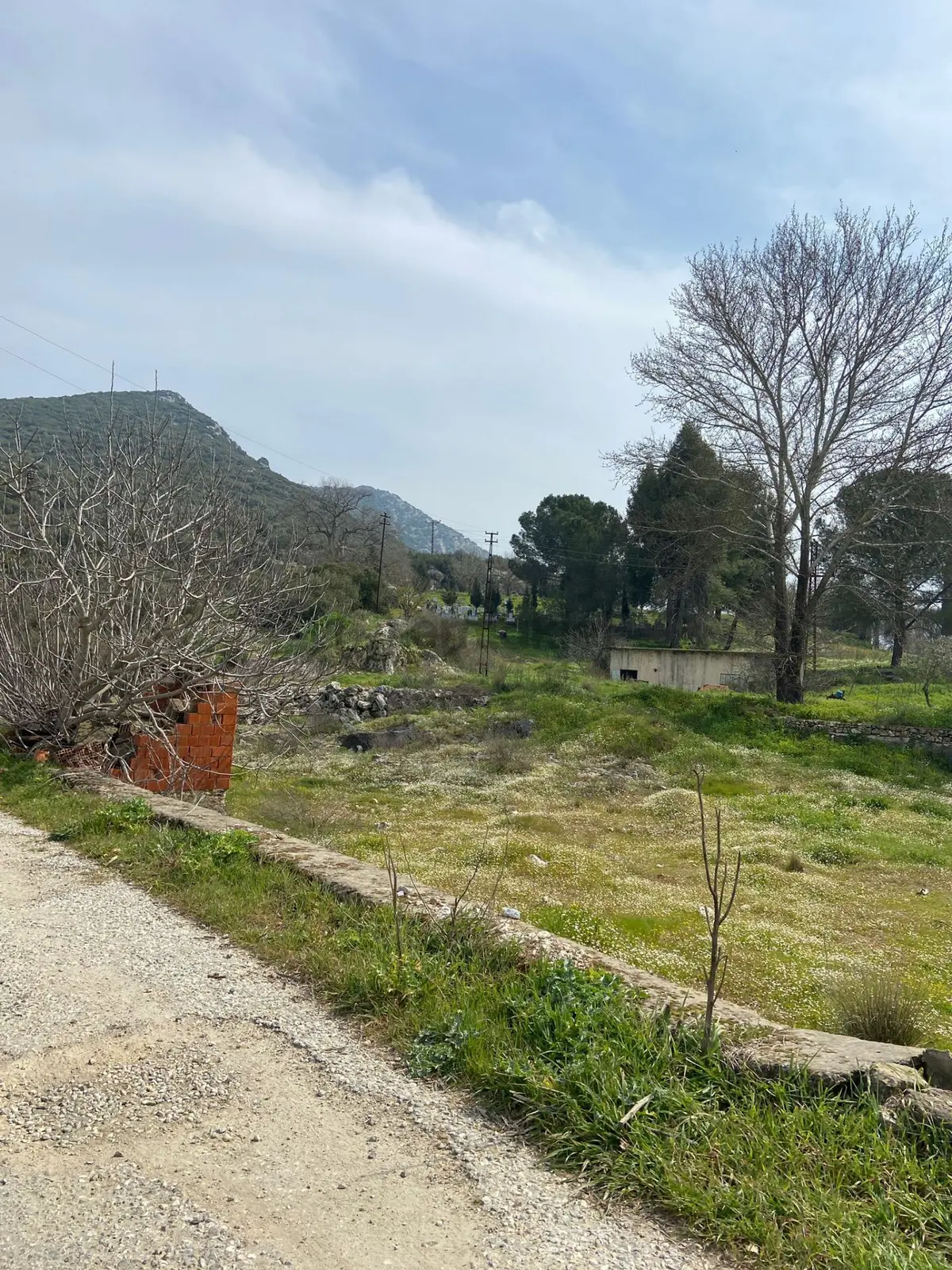 Kurşak Ta Asfalf Yola Cepheli Satılık Tarla 11415 M2 - 31