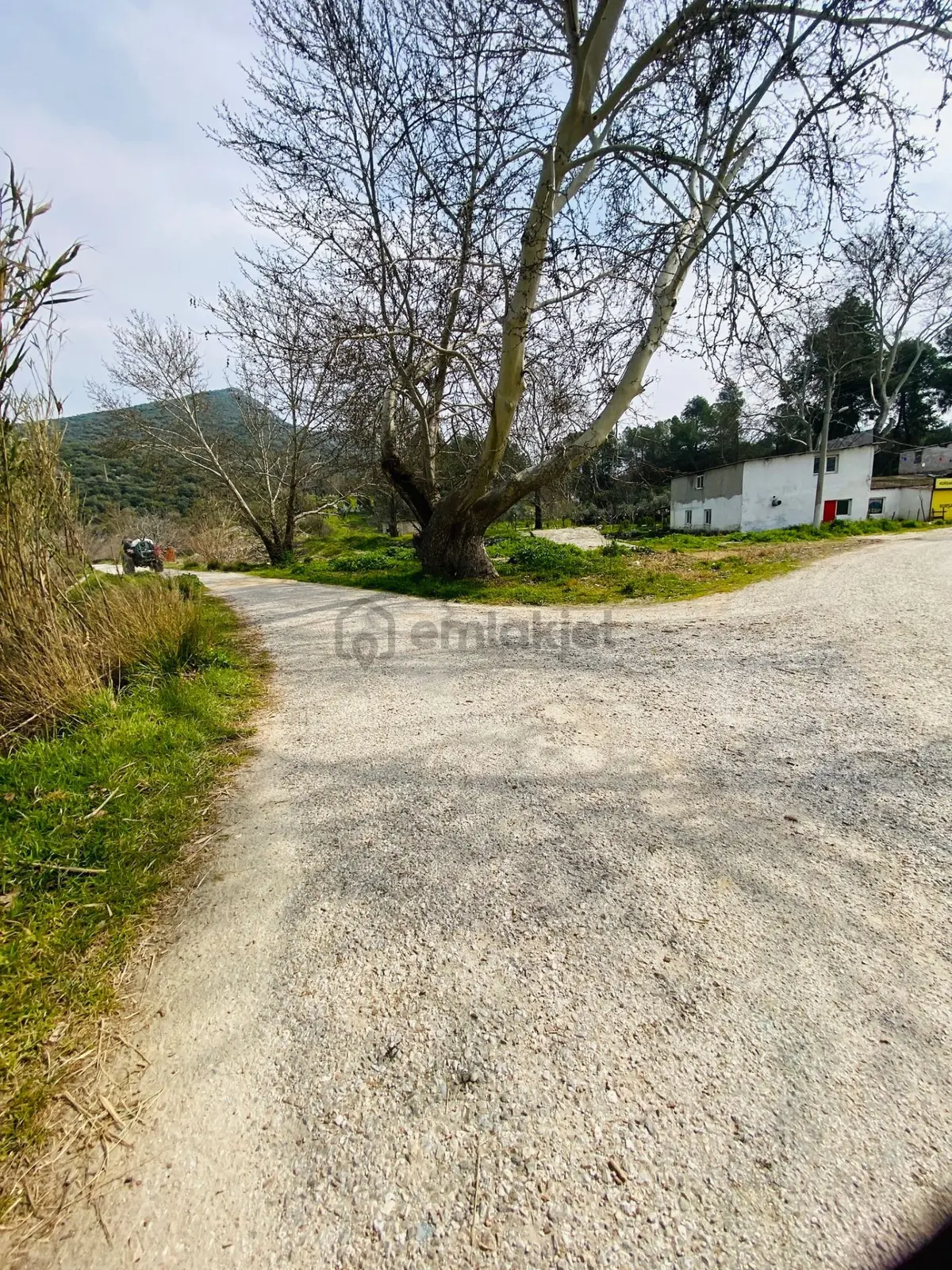 Kurşak Ta Asfalf Yola Cepheli Satılık Tarla 11415 M2 - 19