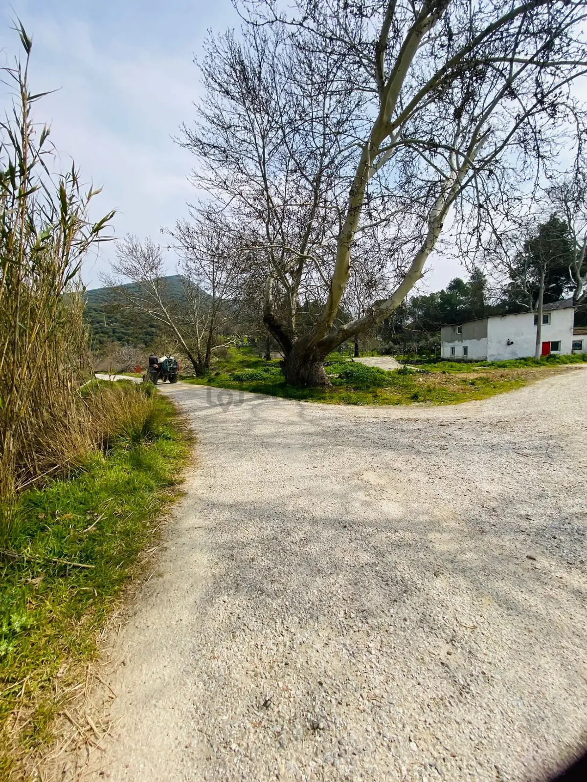 Kurşak Ta Asfalf Yola Cepheli Satılık Tarla 11415 M2 - 24