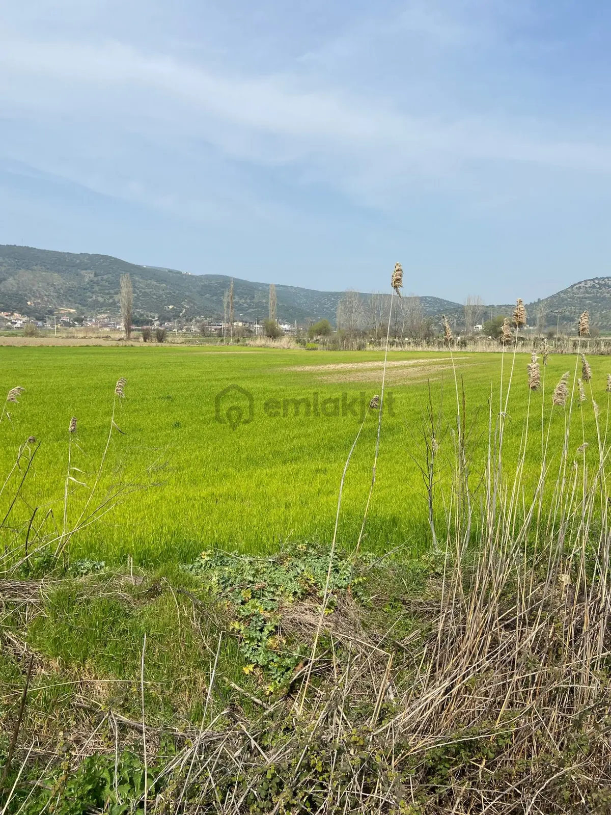 Kurşak Ta Asfalf Yola Cepheli Satılık Tarla 11415 M2 - 4