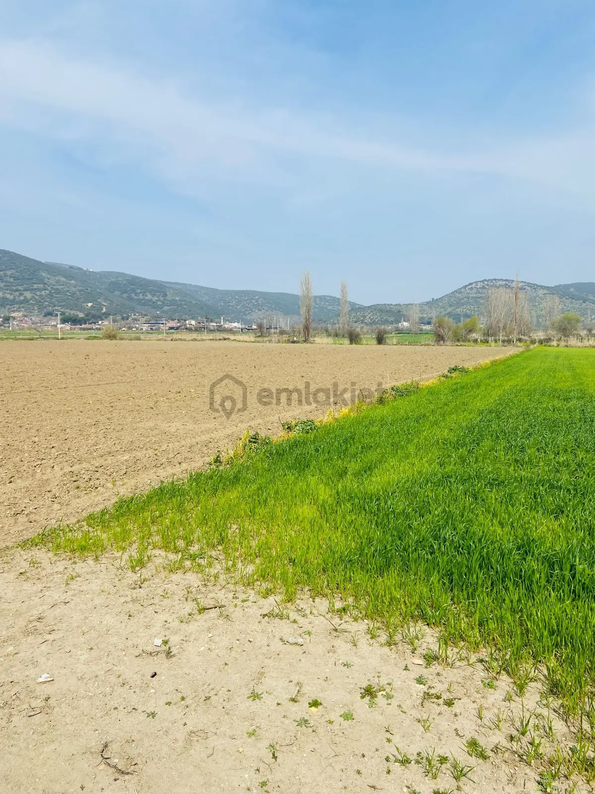Kurşak Ta Asfalf Yola Cepheli Satılık Tarla 11415 M2 - 16