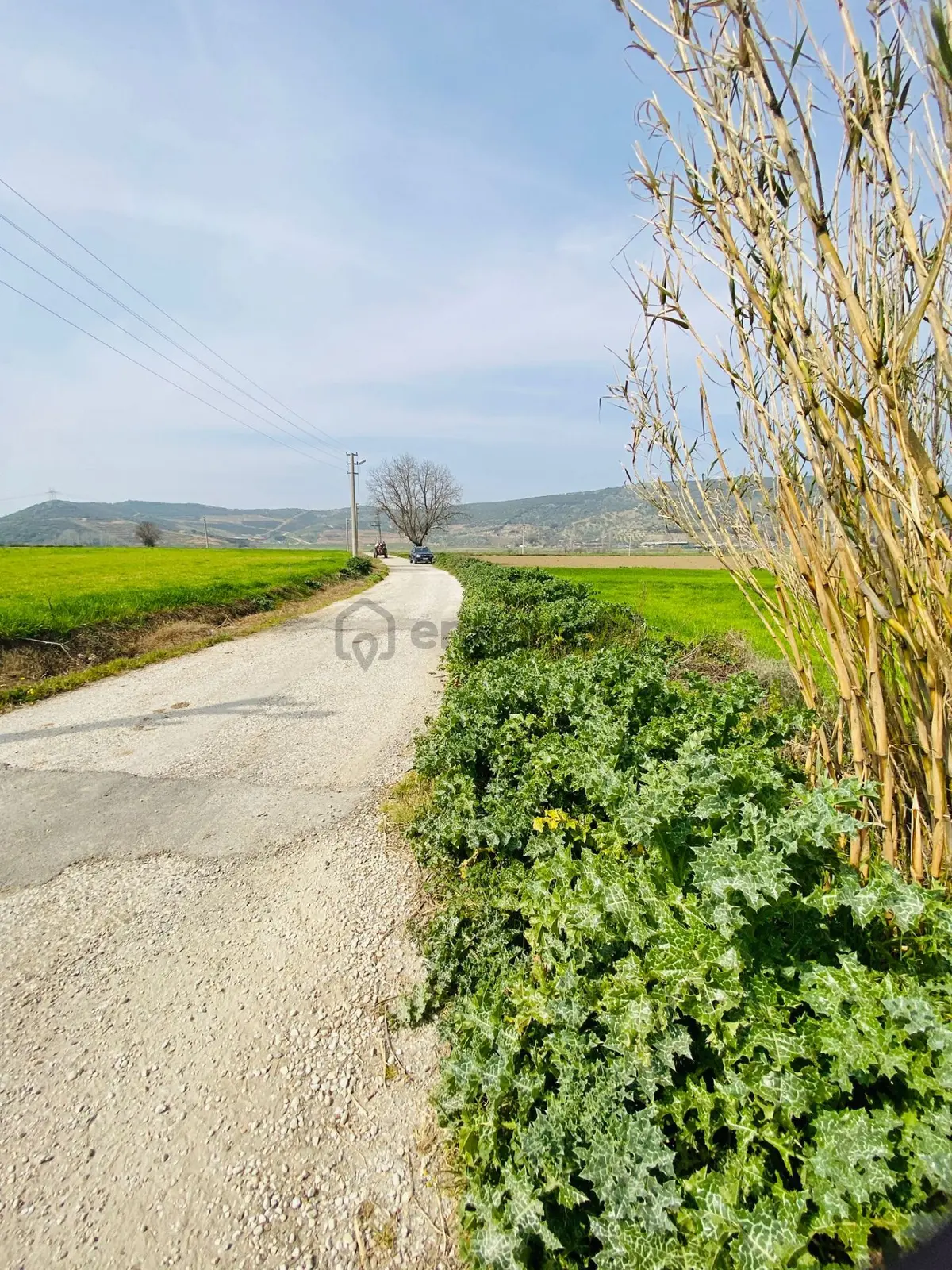 Kurşak Ta Asfalf Yola Cepheli Satılık Tarla 11415 M2 - 32