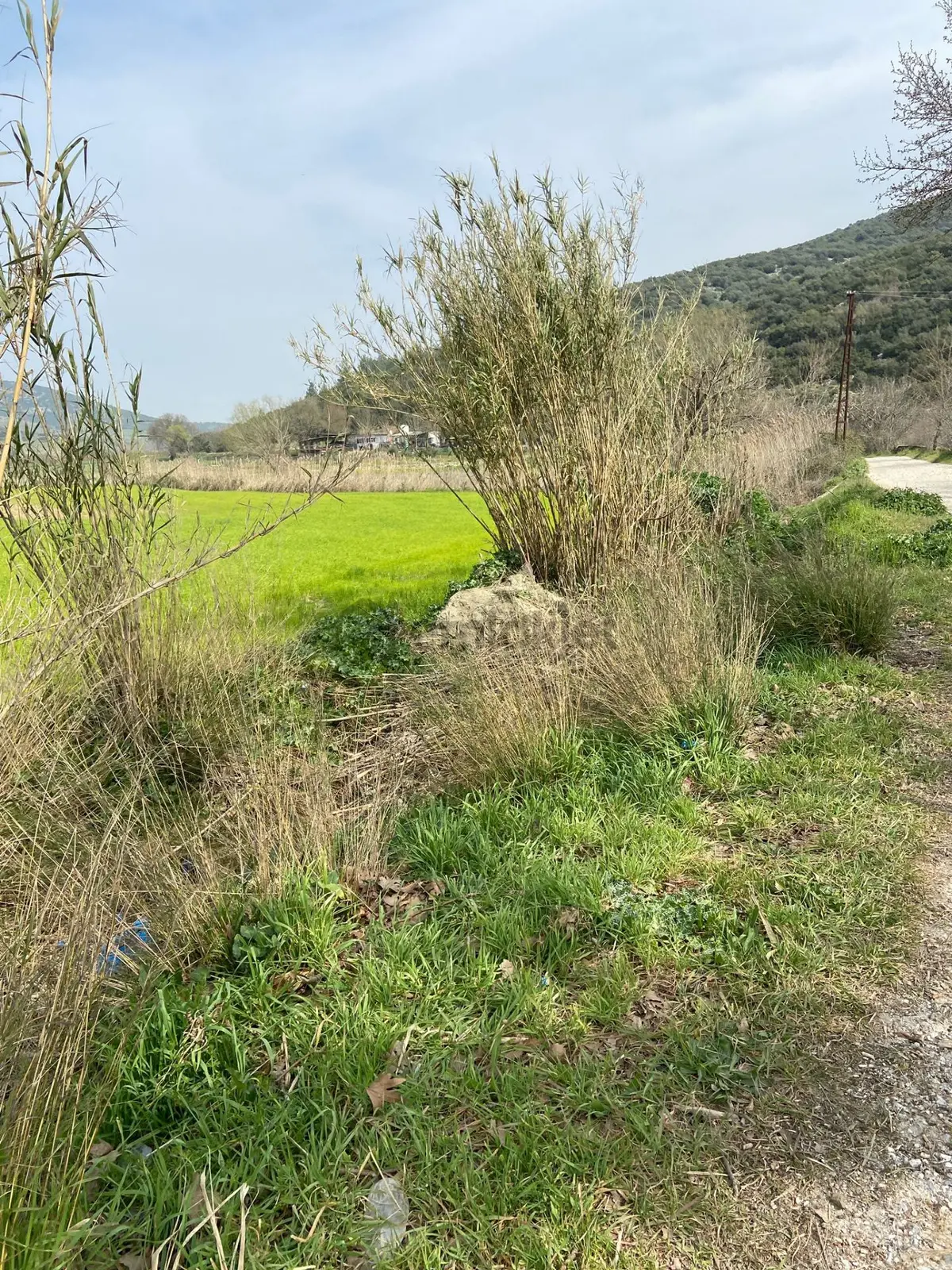 Kurşak Ta Asfalf Yola Cepheli Satılık Tarla 11415 M2 - 28