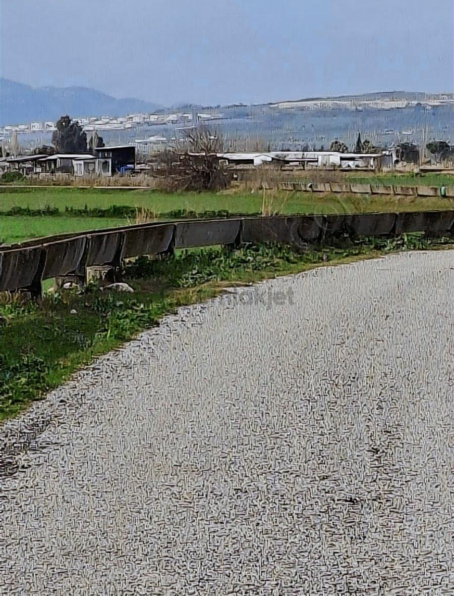 Foça Gerenköyde 540 M2 Bahçe Acil Satılıktır - 19