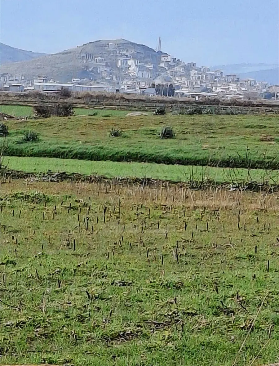 Foça Gerenköyde 540 M2 Bahçe Acil Satılıktır - 24
