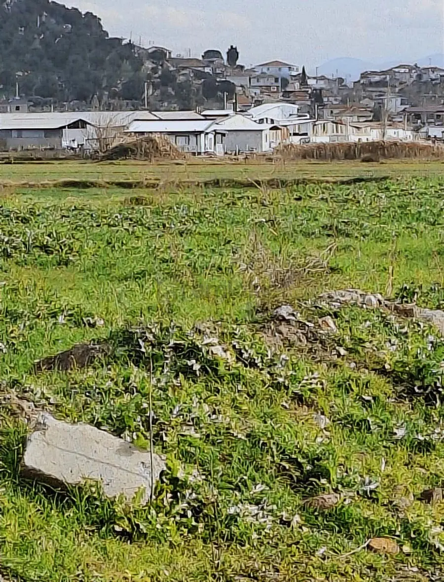 Foça Gerenköyde 540 M2 Bahçe Acil Satılıktır - 11