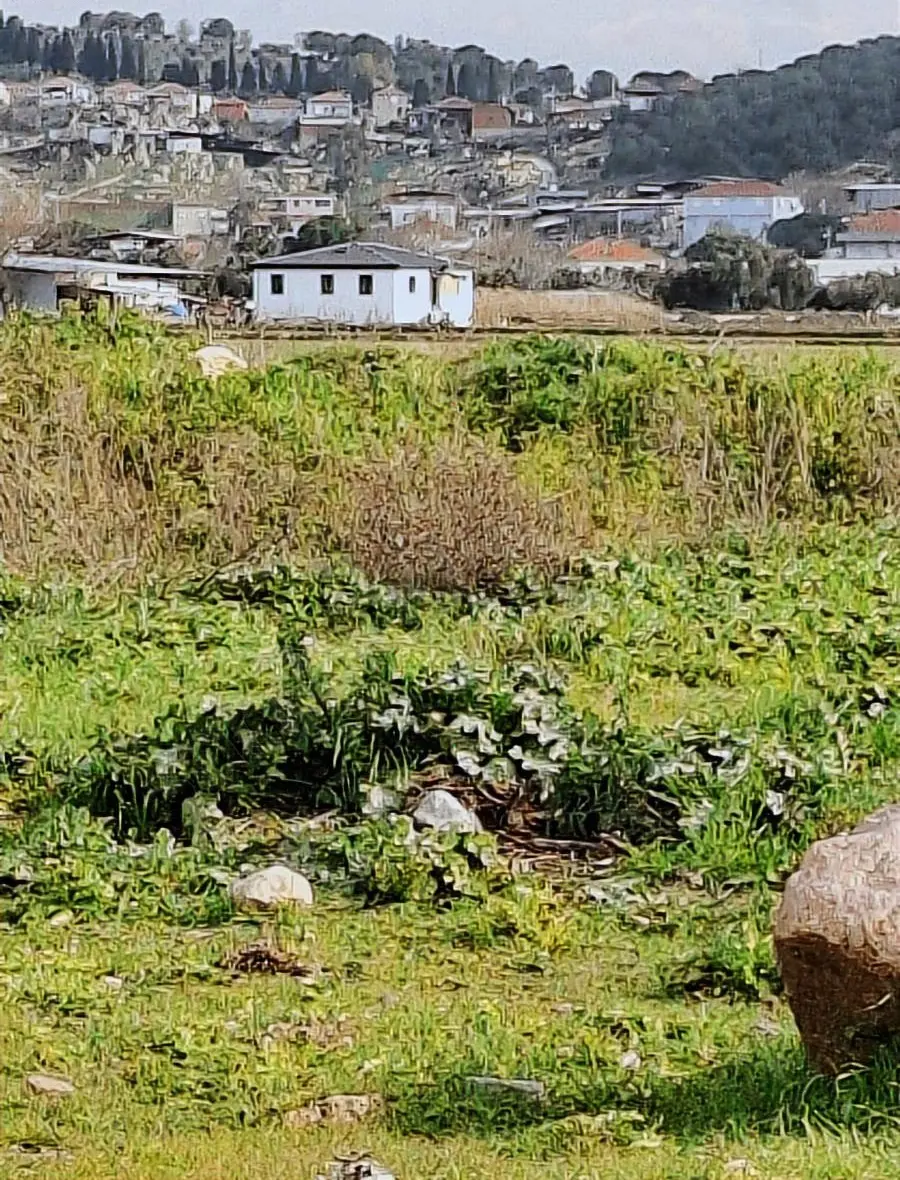 Foça Gerenköyde 540 M2 Bahçe Acil Satılıktır - 17