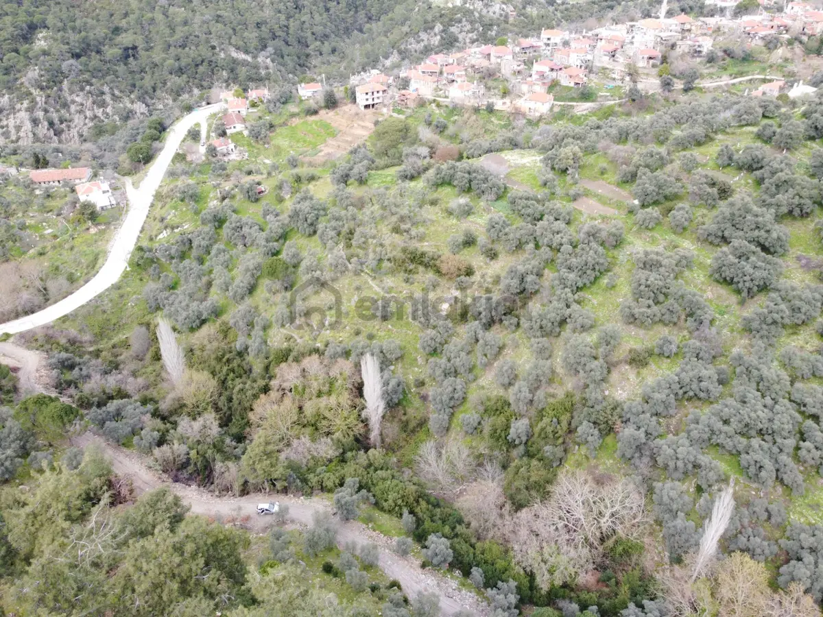 Milas’ta Doğayla İç İçe 515m² Satılık Bahçe - 8