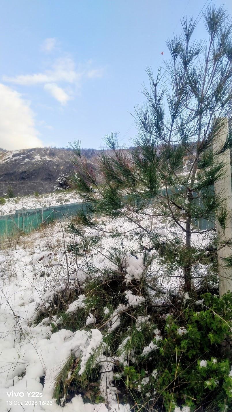 Gölbaşı Hobi Bahçeleri - 6