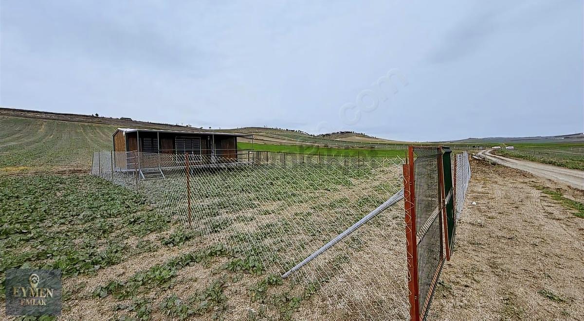 300metre İçinde Çevrili Hobi Bahçesi - 6