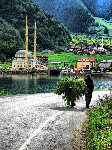 Trabzon Uzungöl De Satılık Otel - 18