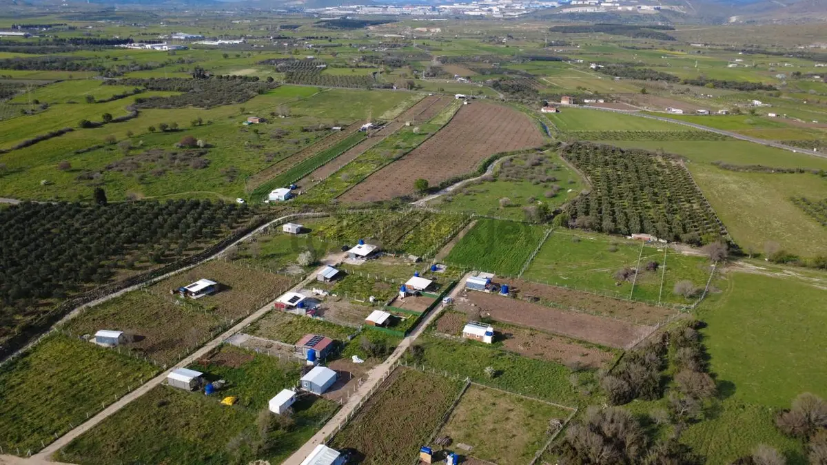 Çıtakta 213m2 İçerisinde Konteyner Bulunan Tarla - 30