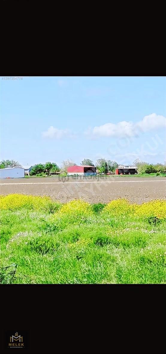 Tekirdag Saray Da Satılık 250.m2 Tarla - 7