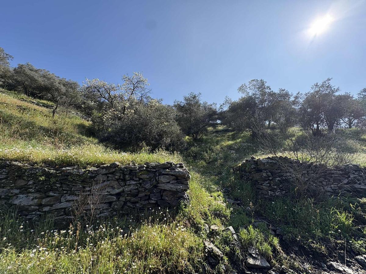 Muğla Menteşe Yeşilyurt Mah. 3.182 M2 Tarla - 9