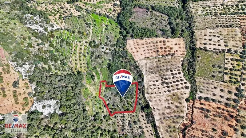 Datça Sındıda Manzaralı Tarla - Tıny House'a Uygun Yolu Var - 22