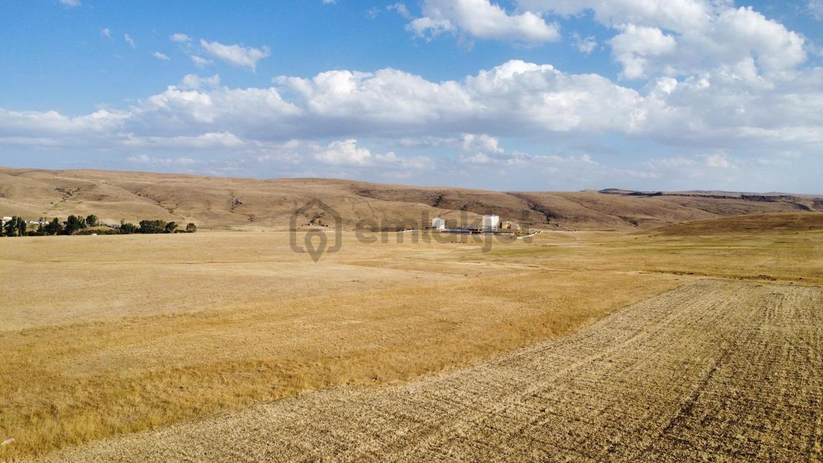Ağrı'da Satılık Tarla - 16