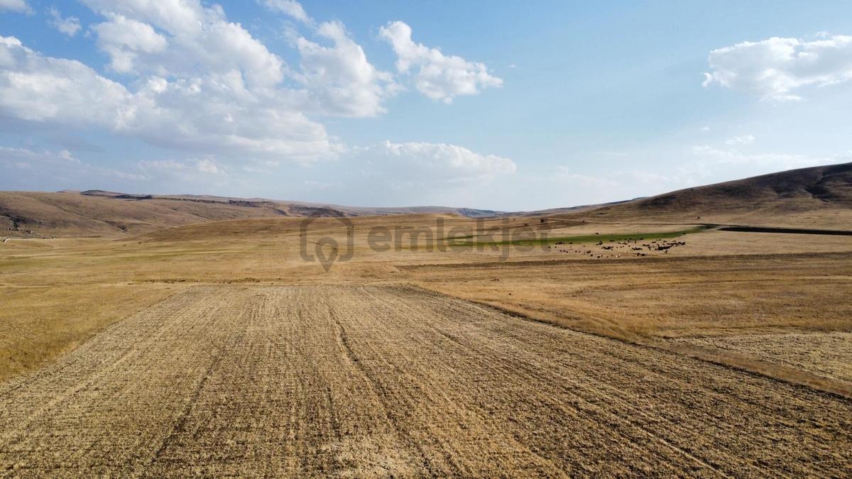 Ağrı'da Satılık Tarla - 10