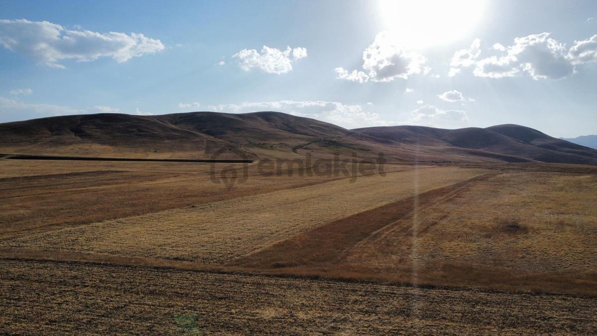 Ağrı'da Satılık Tarla - 12