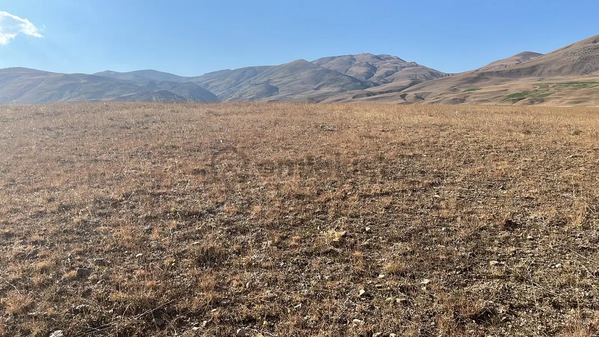 Ağrı'da Satılık Tarla - 15