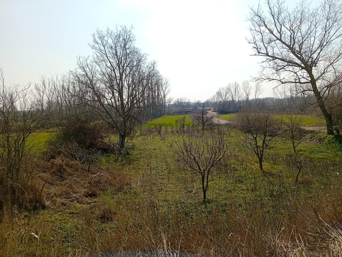Edirne Kapıkule Yoluna Yakın Yola Cephe Acil Satılık Bahçe - 9