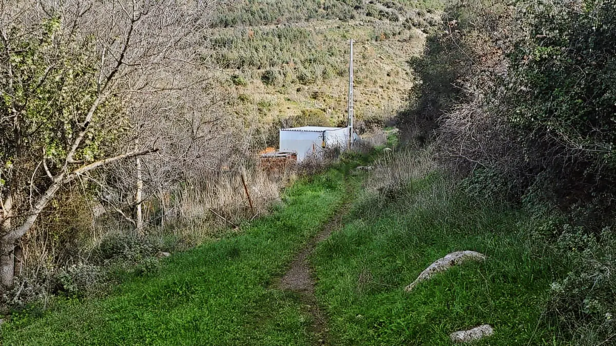 Bergama Sindel Mahallesinde Satılık Zeytinlik - 30