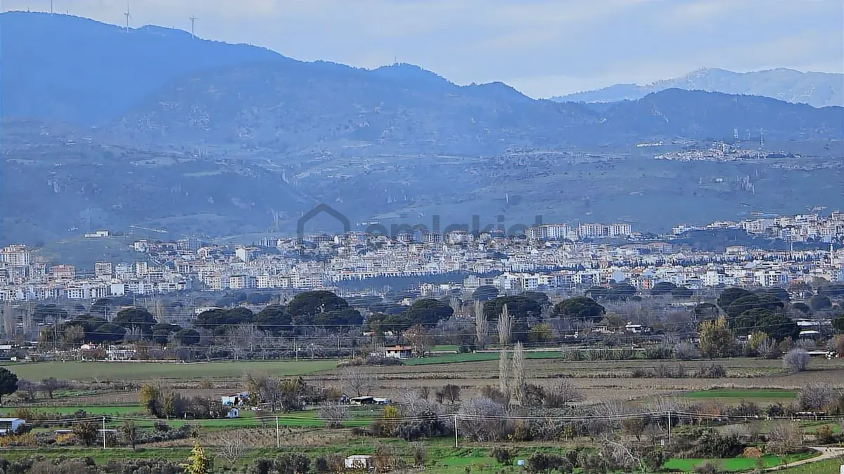 Bergama Sindel Mahallesinde Satılık Zeytinlik - 25