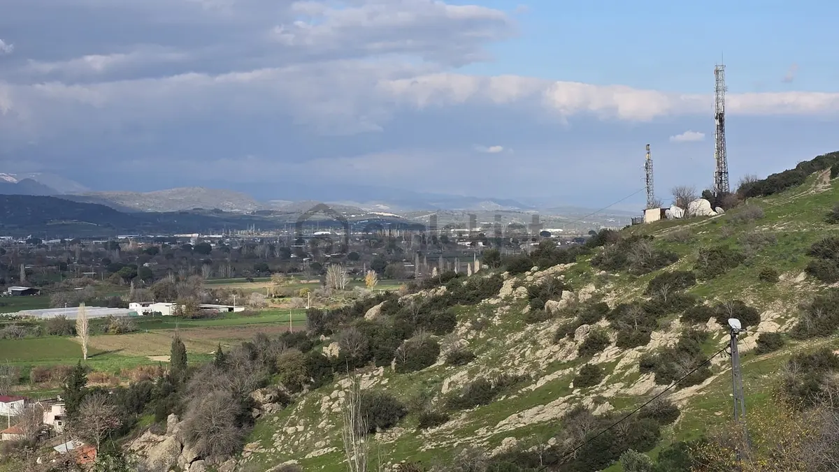 Bergama Sindel Mahallesinde Satılık Zeytinlik - 8