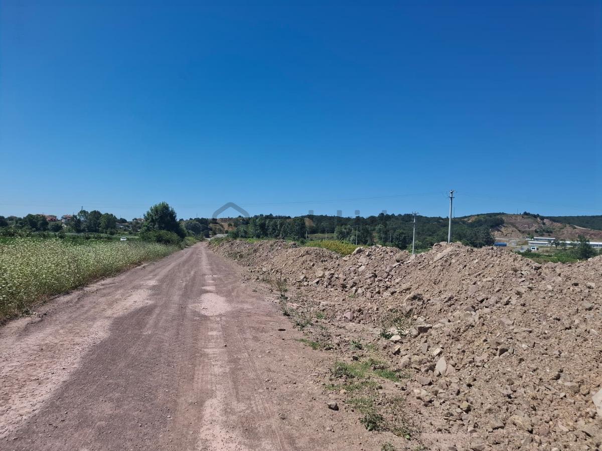 Kurudilde 10.978 M2 Satılık Fındık Bahçesi - 32