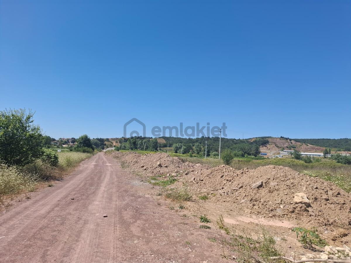 Kurudilde 10.978 M2 Satılık Fındık Bahçesi - 24