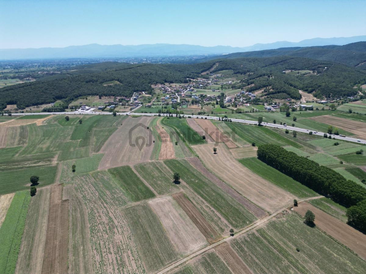 Kurudilde 10.978 M2 Satılık Fındık Bahçesi - 13
