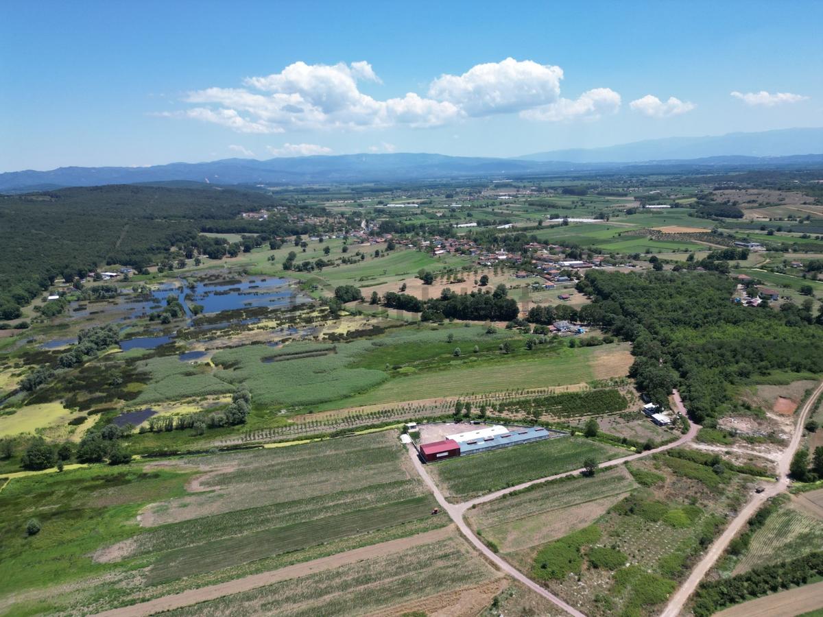 Kurudilde 10.978 M2 Satılık Fındık Bahçesi - 20