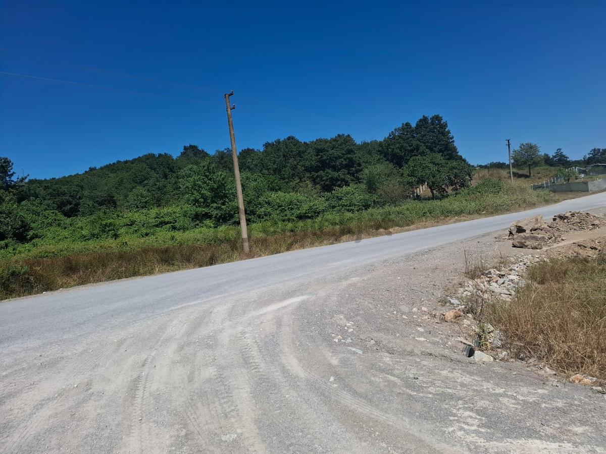 Kurudilde 10.978 M2 Satılık Fındık Bahçesi - 26