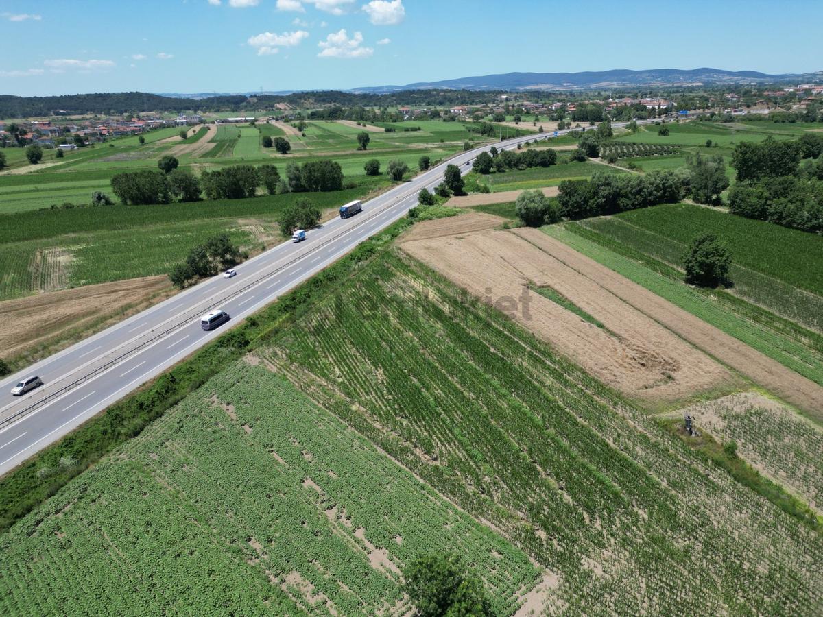 Kurudilde 10.978 M2 Satılık Fındık Bahçesi - 7