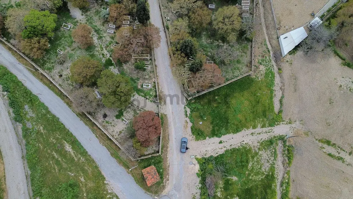 Foça Ilıpınar'da Satılık Müstakil Tapulu Tarla - 22