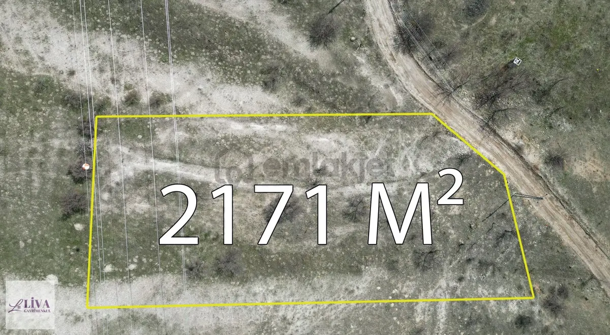 Liva'dan Reşadiye'de Tek Tapu 2171 M² Bağ - 18