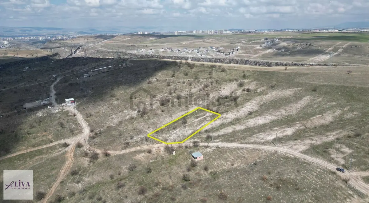 Liva'dan Reşadiye'de Tek Tapu 2171 M² Bağ - 16
