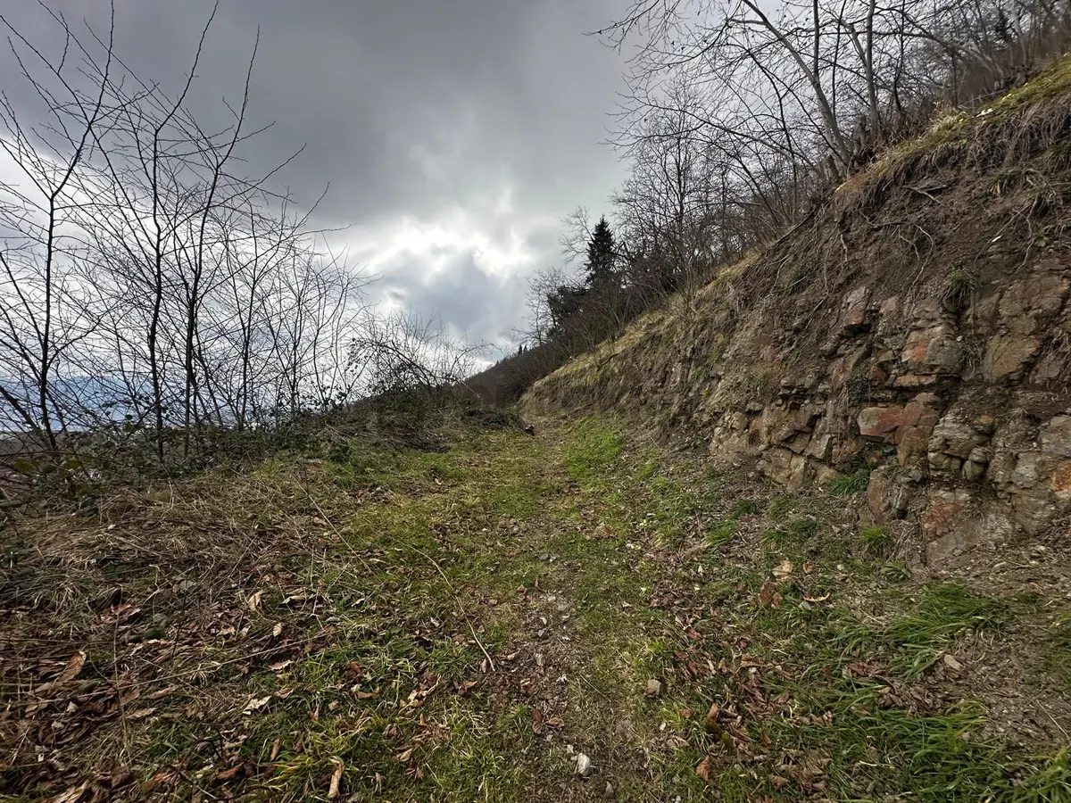 Trabzon'da Satılık Arazi - 18
