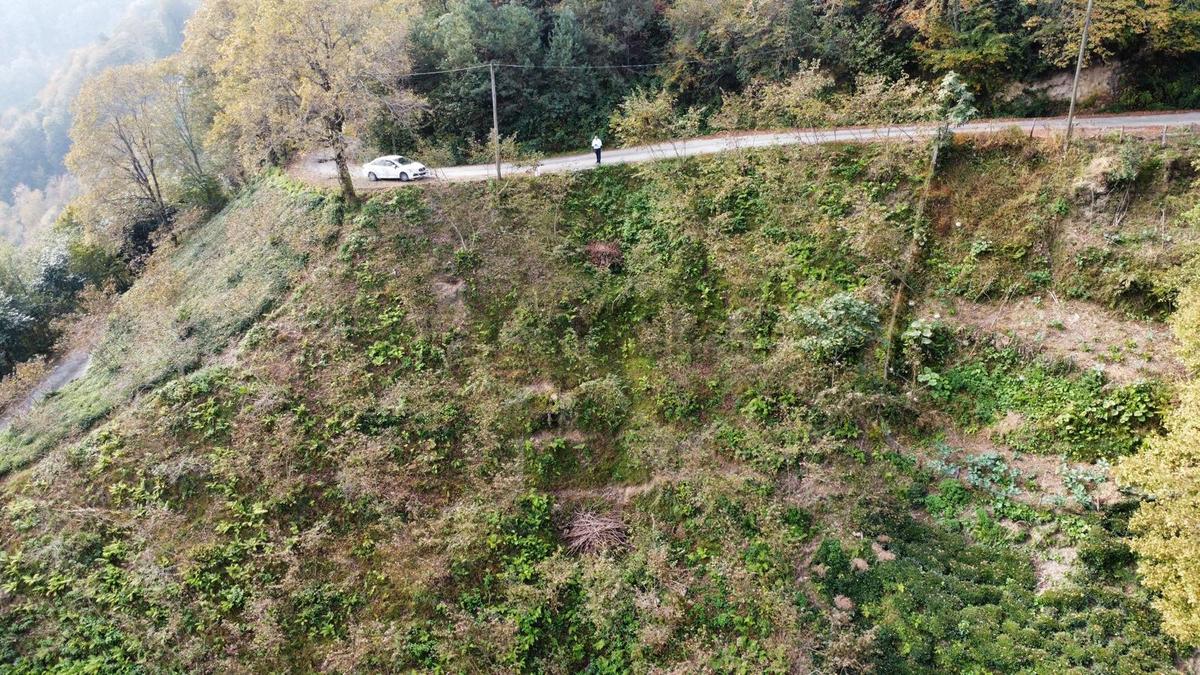 Trabzon Sürmene'de Satılık Arazi - 12