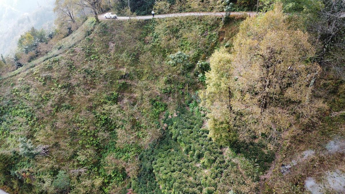 Trabzon Sürmene'de Satılık Arazi - 19