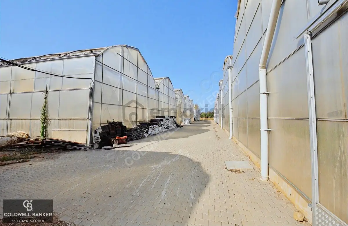 Bayındır'da Tam Donanımlı Modern Kiralık 18.500m² Sera - 14