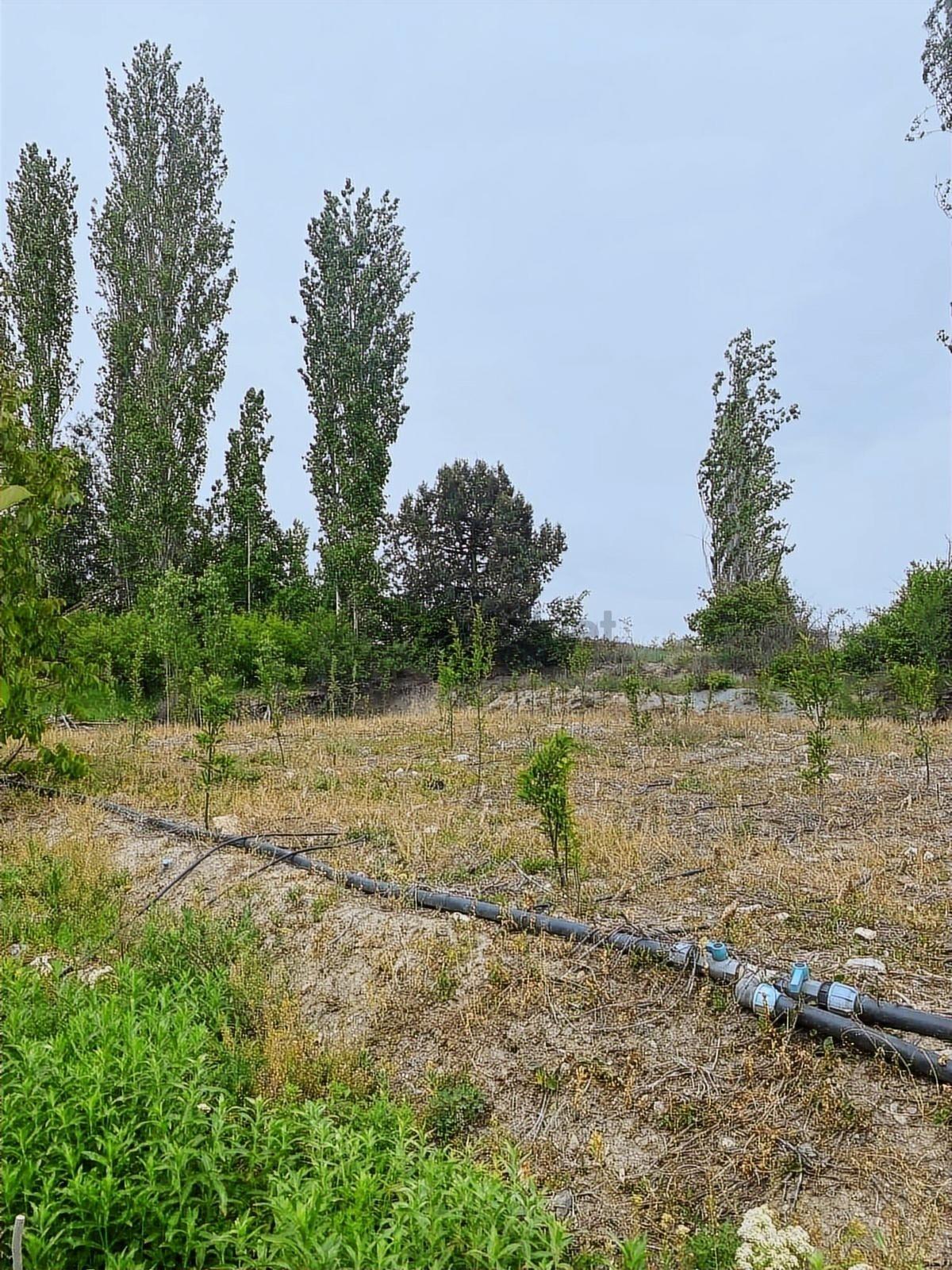 Sorgun'da Merkezi Konumda 3.372m2 Fırsatı !! - 26