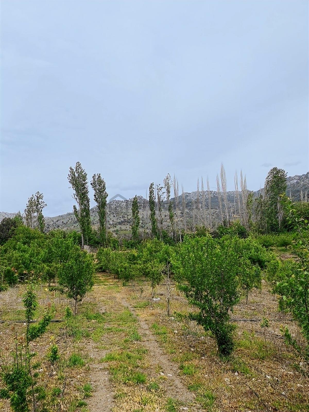 Sorgun'da Merkezi Konumda 3.372m2 Fırsatı !! - 29