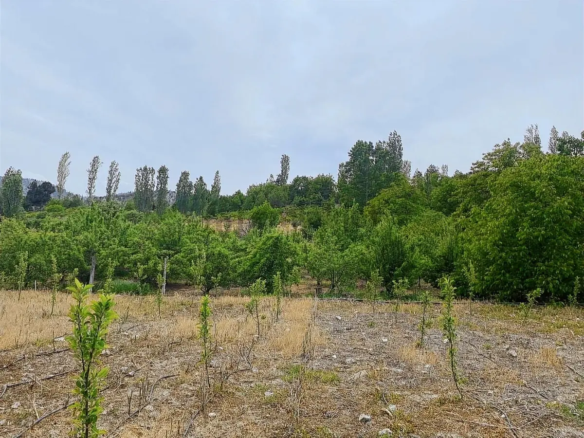 Sorgun'da Merkezi Konumda 3.372m2 Fırsatı !! - 22