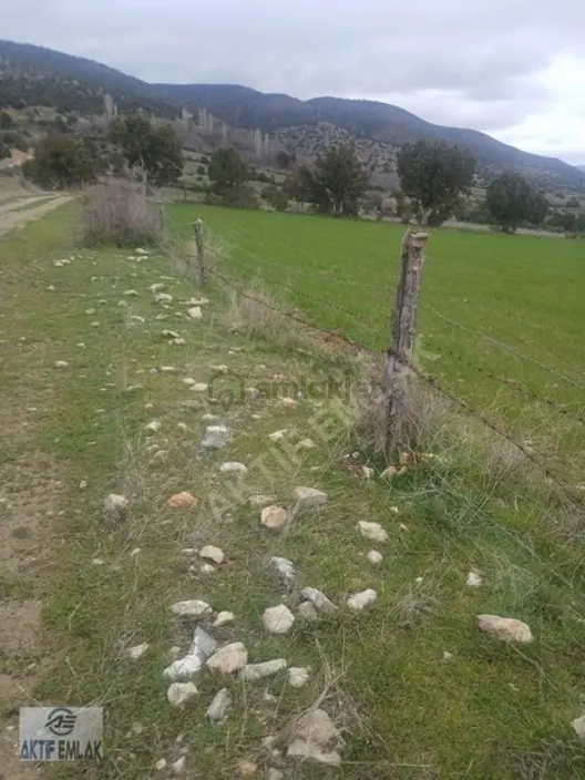 Aktif Emlaktan Kastamonu'da Satılık Tarla 4181 M2 - 3