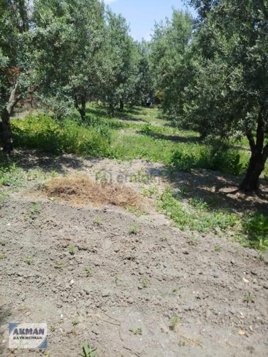 Süleymanlı Mh De 534 M2 Satılık Arsa - 17